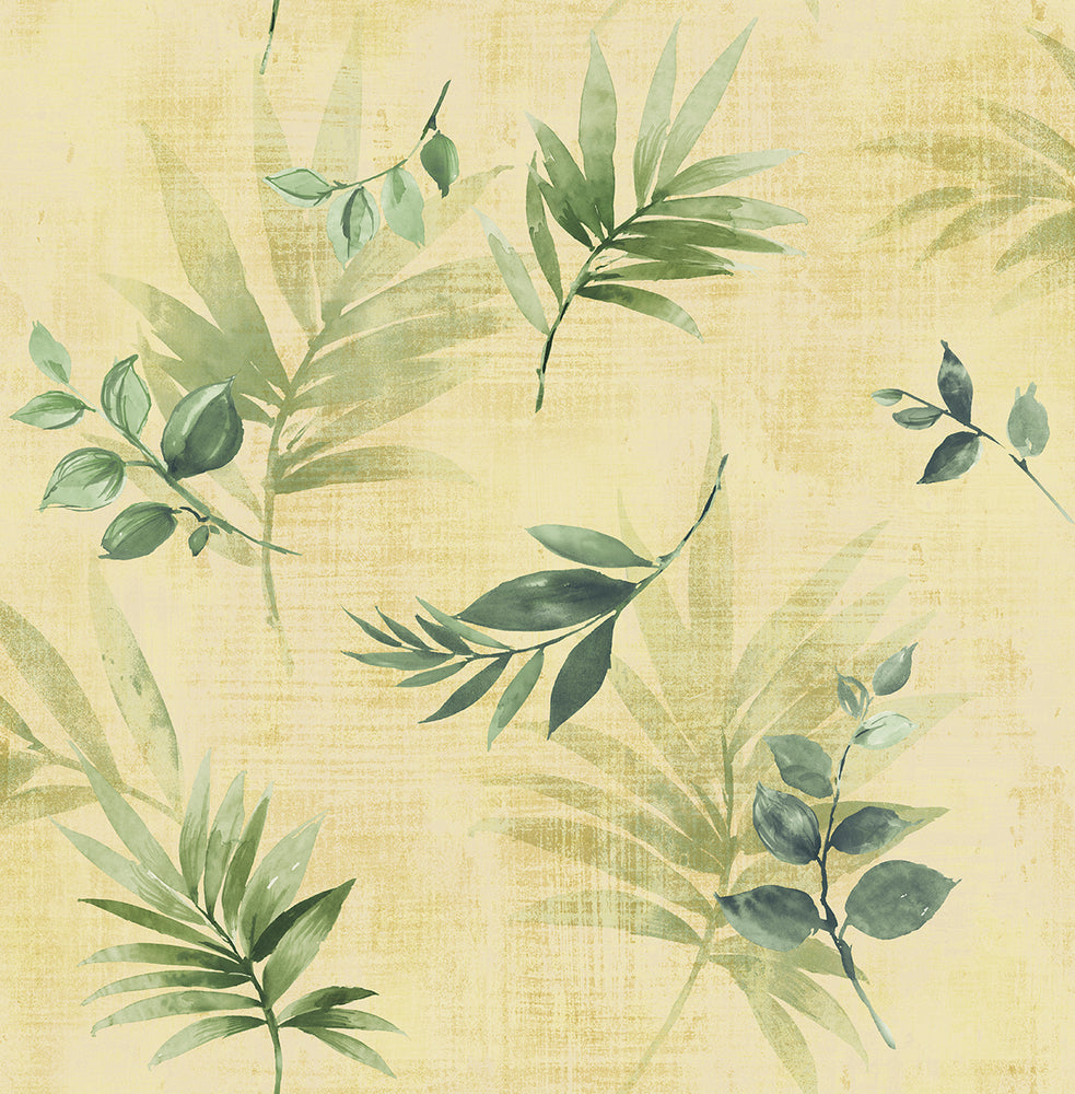 SD30401HN Cayacoa tropical leaf botanical wallpaper from Say Decor