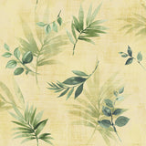 SD30401HN Cayacoa tropical leaf botanical wallpaper from Say Decor