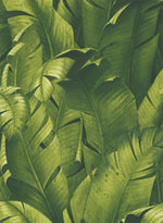 Tropical Banana Leaf Peel and Stick Removable Wallpaper