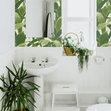 Peel and stick tropical leaf removable wallpaper bathroom NW31300 by NextWall