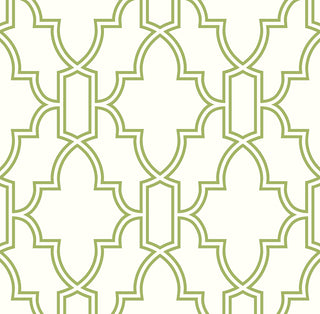 NW31604 peel and stick trellis green and white wallpaper by NextWall