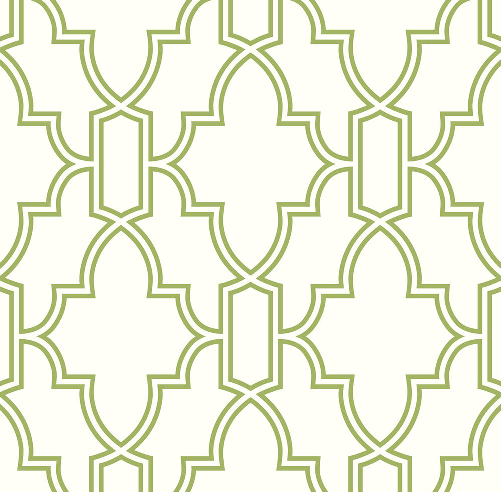 NW31604 peel and stick trellis green and white wallpaper by NextWall