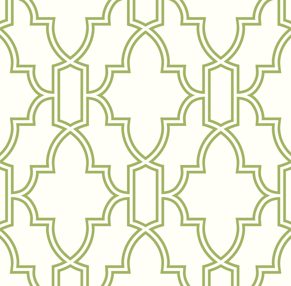 NW31604 peel and stick trellis green and white wallpaper by NextWall