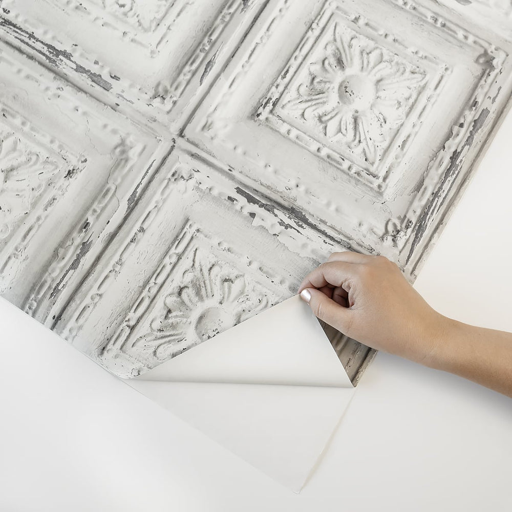 
                  
                    Peel and stick wallpaper NW32100 from NextWall
                  
                