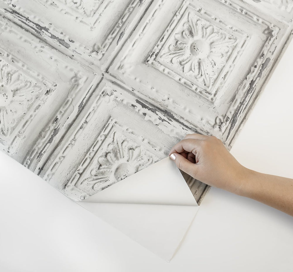 Peel and stick wallpaper NW32100 from NextWall
