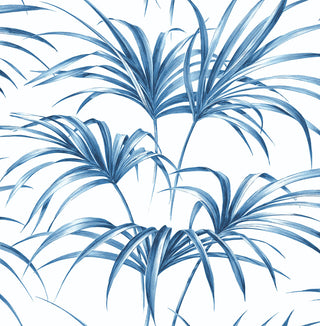 NW32502 tropical palm leaf peel and stick removable wallpaper by NextWall