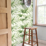 NW32504 tropical palm leaf peel and stick removable wallpaper decor by NextWall