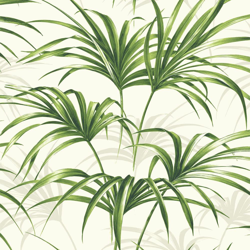 
                  
                    NW32504 tropical palm leaf peel and stick removable wallpaper by NextWall
                  
                