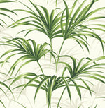 NW32504 tropical palm leaf peel and stick removable wallpaper by NextWall