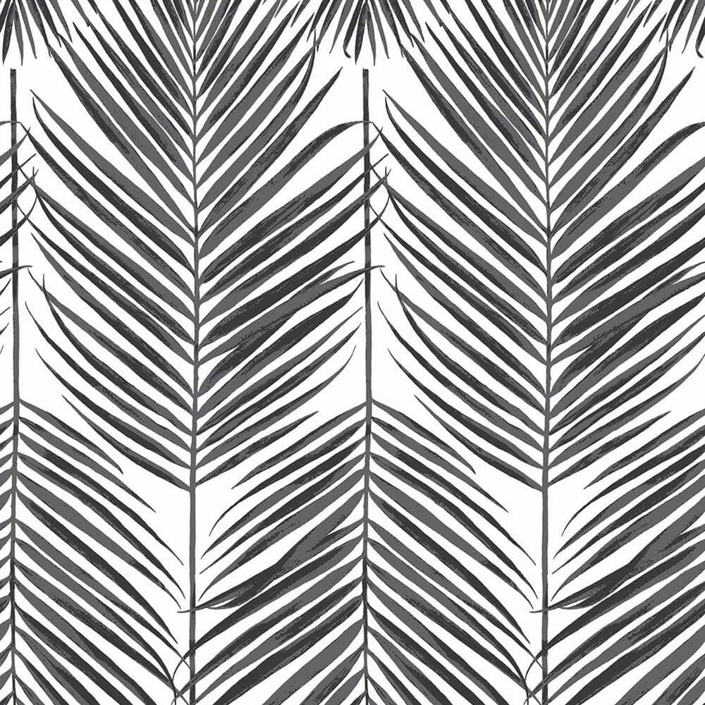 
                  
                    NW33000 black palm leaf peel and stick removable wallpaper by NextWall
                  
                