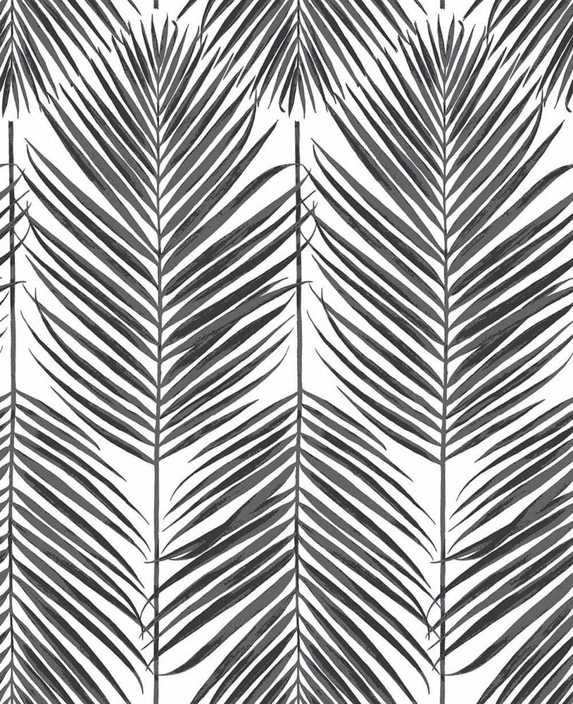 NW33000 black palm leaf peel and stick removable wallpaper by NextWall