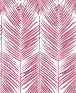 NW33001 cerise pink palm leaf peel and stick removable wallpaper by NextWall