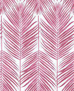 NW33001 cerise pink palm leaf peel and stick removable wallpaper by NextWall