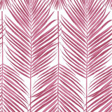 NW33001 cerise pink palm leaf peel and stick removable wallpaper by NextWall