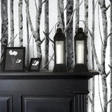 NW34800 birch tree peel and stick removable wallpaper decor by NextWall
