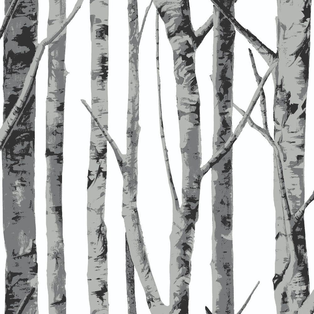 NW34800 birch tree peel and stick removable wallpaper by NextWall