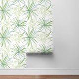NW36304 spider plant botanical peel and stick removable wallpaper roll from NextWall