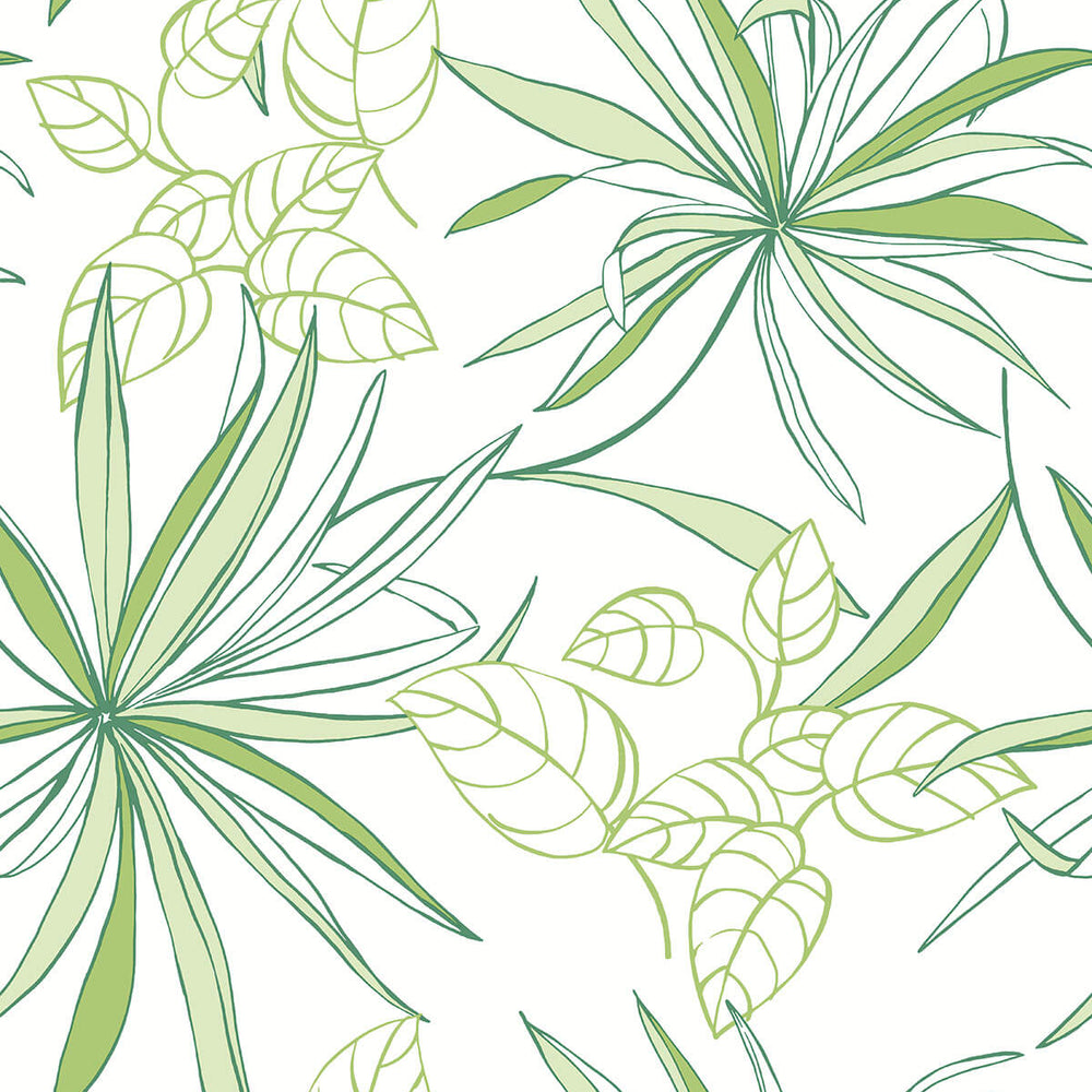 
                  
                    NW36304 spider plant botanical peel and stick removable wallpaper from NextWall
                  
                