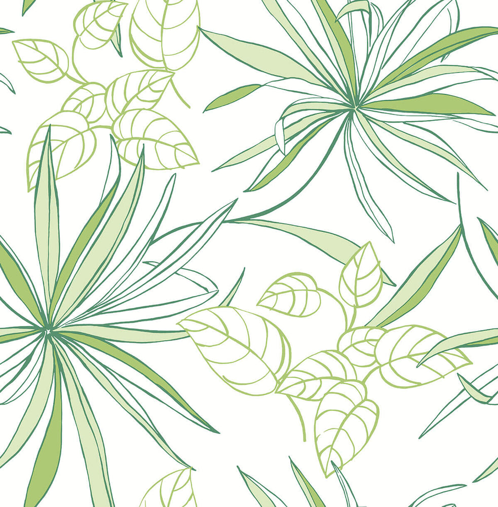 NW36304 spider plant botanical peel and stick removable wallpaper from NextWall