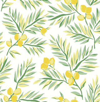NW36703 lemon branch botanical peel and stick removable wallpaper from NextWall