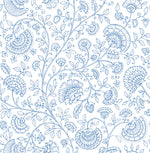 Paisley Trail Bohemian Peel and Stick Removable Wallpaper
