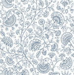 NW36812 paisley trail bohemian peel and stick removable wallpaper from NextWall