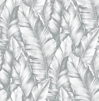 NW37908 Baha banana leaf peel and stick removable wallpaper from NextWall