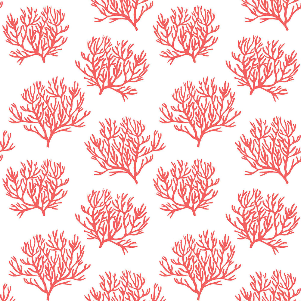 
                  
                    NW38001 coastal coral reef peel and stick removable wallpaper from NextWall
                  
                