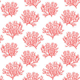 NW38001 coastal coral reef peel and stick removable wallpaper from NextWall