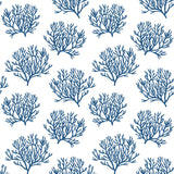 NW38002 coastal coral reef peel and stick removable wallpaper from NextWall