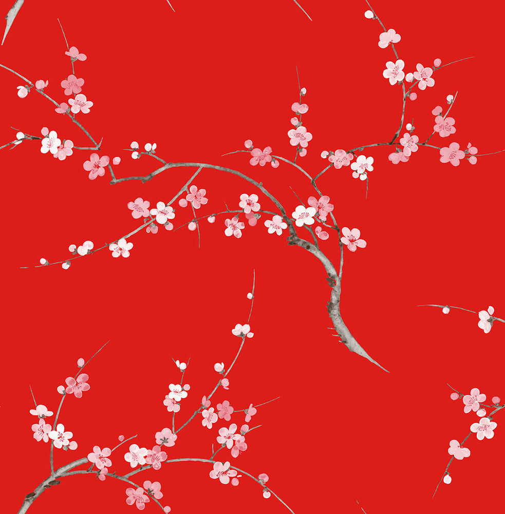 NW38301 cherry blossom floral peel and stick removable wallpaper from NextWall