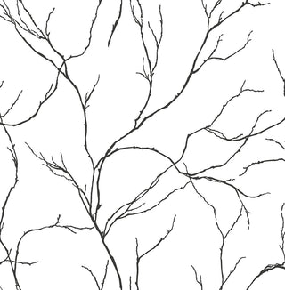 NW39000 delicate branches botanical peel and stick removable wallpaper from NextWall