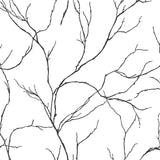 NW39000 delicate branches botanical peel and stick removable wallpaper from NextWall