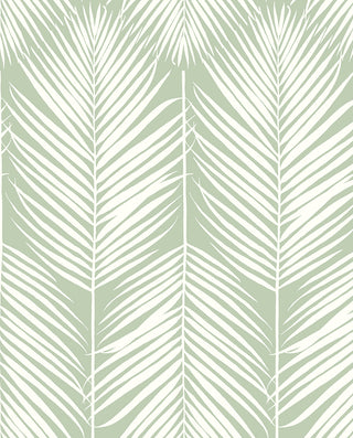NW39804 palm silhouette coastal peel and stick removable wallpaper from NextWall