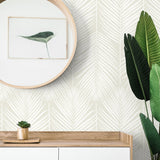NW39805 palm leaf peel and stick wallpaper decor from NextWall