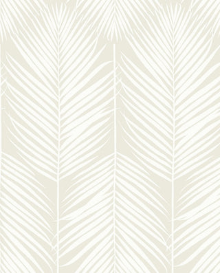 NW39805 palm leaf peel and stick wallpaper from NextWall