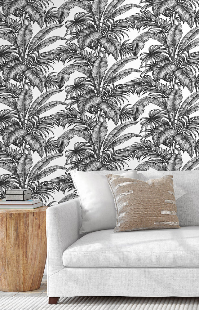 NW40400 palm jungle premium peel and stick removable wallpaper living room from NextWall