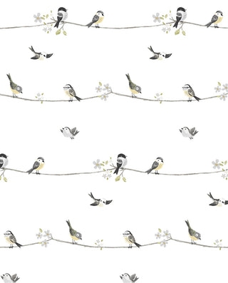 NW41600 sweet tweet nursery peel and stick wallpaper from NextWall