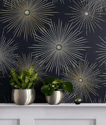 Mid century peel and stick wallpaper home NW43102 from NextWall 