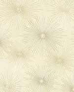 NW43103 Silverdale Starburst retro peel and stick removable wallpaper from Say Decor