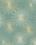 NW43104 Silverdale Starburst retro peel and stick removable wallpaper from Say Decor