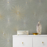 NW43105 Silverdale Starburst retro peel and stick removable wallpaper decor from Say Decor