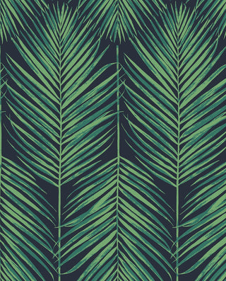 NW43204 tropic palm peel and stick wallpaper from NextWall