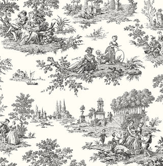 NW43300 Chateau toile peel and stick wallpaper from NextWall