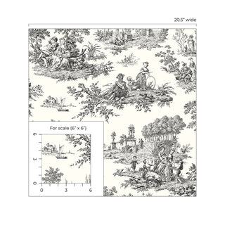 NW43300 Chateau toile peel and stick wallpaper black from NextWall