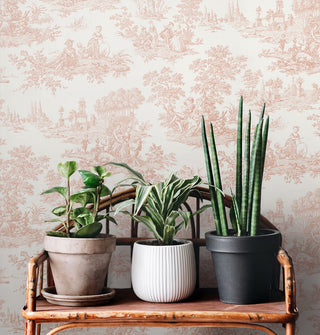 NW43301 Chateau toile peel and stick wallpaper decor from NextWall