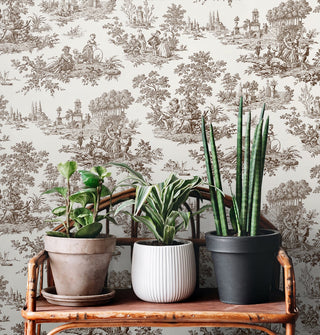 NW43307 Chateau toile peel and stick wallpaper decor from NextWall