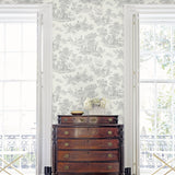 NW43308 toile peel and stick wallpaper living room from NextWall