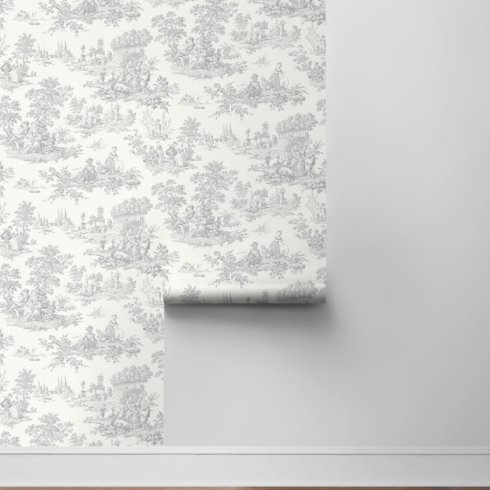 
                  
                    NW43308 toile peel and stick wallpaper roll from NextWall
                  
                
