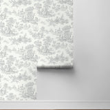 NW43308 toile peel and stick wallpaper roll from NextWall